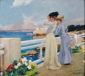 Les mouettes, 1906